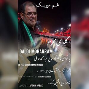 دانلود مداحی گلدی محرم از سید محمد عاملی